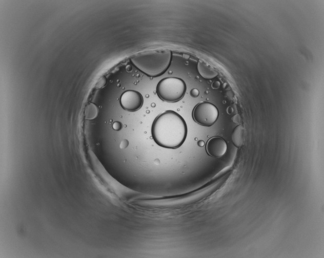 X0000115831231200911131459