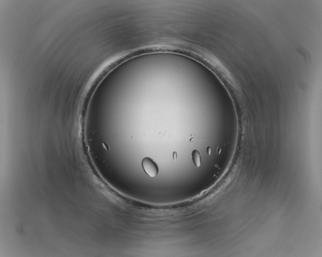 X0000115831232200911131459