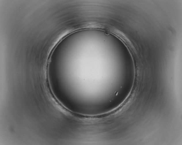 X0000115831236200911131459