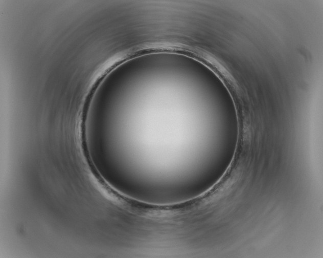 X0000115831237200911131459