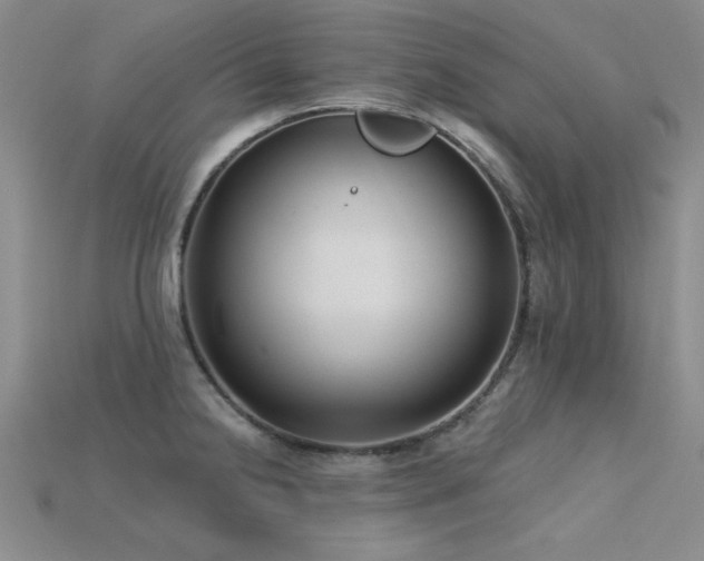 X0000115831238200911131459