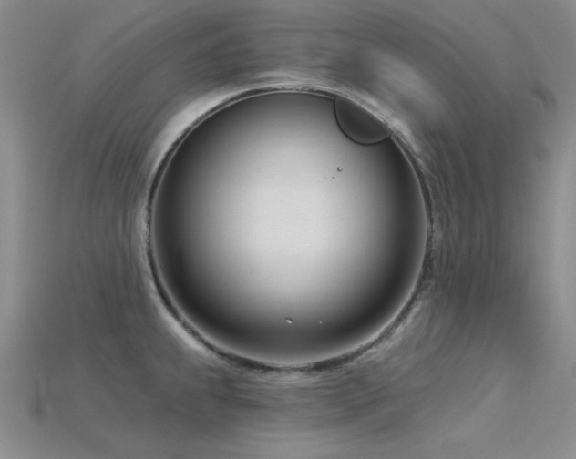 X0000115831239200911131459