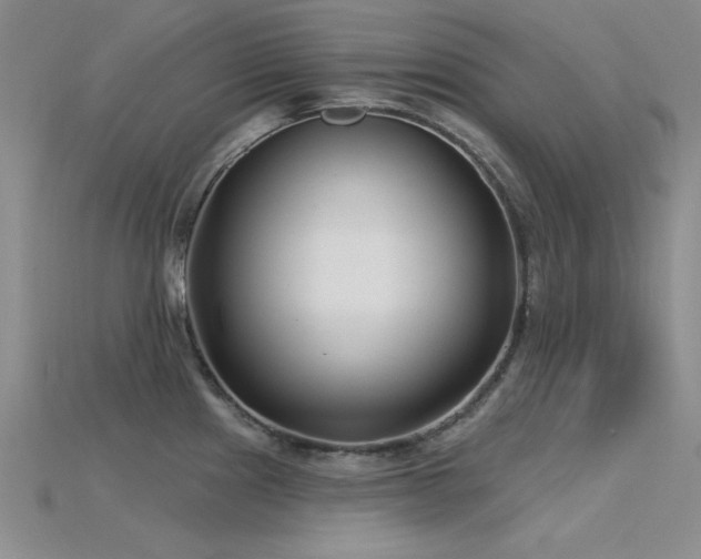 X0000115831241200911131459