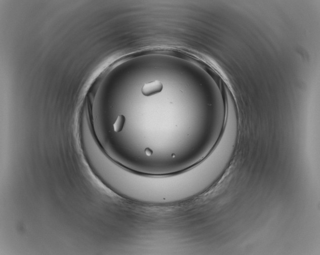 X0000115831243200911131459