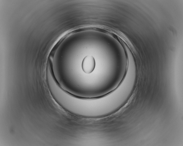 X0000115831244200911131459