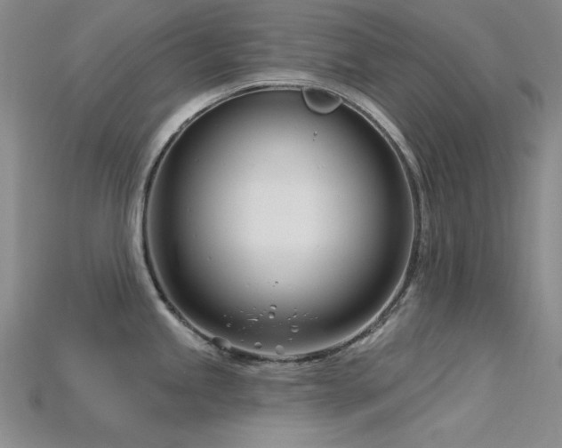 X0000115831245200911131459