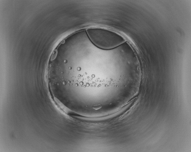 X0000115831247200911131459