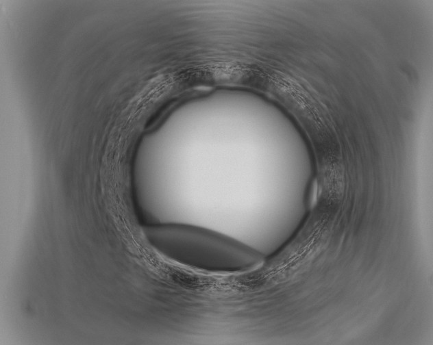 X0000115831249200911131458