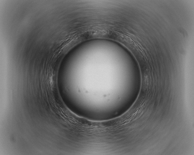 X0000115831250200911131458