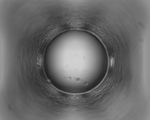 X0000115831251200911131458