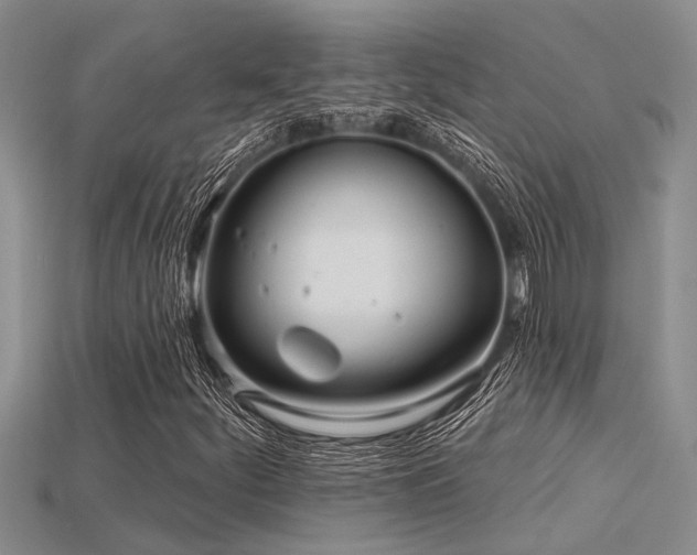 X0000115831252200911131458