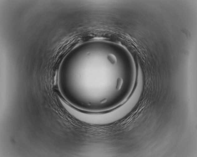 X0000115831253200911131458