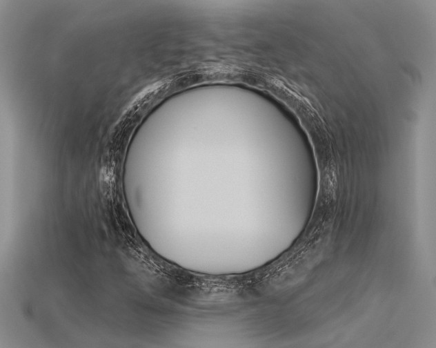 X0000115831254200911131458