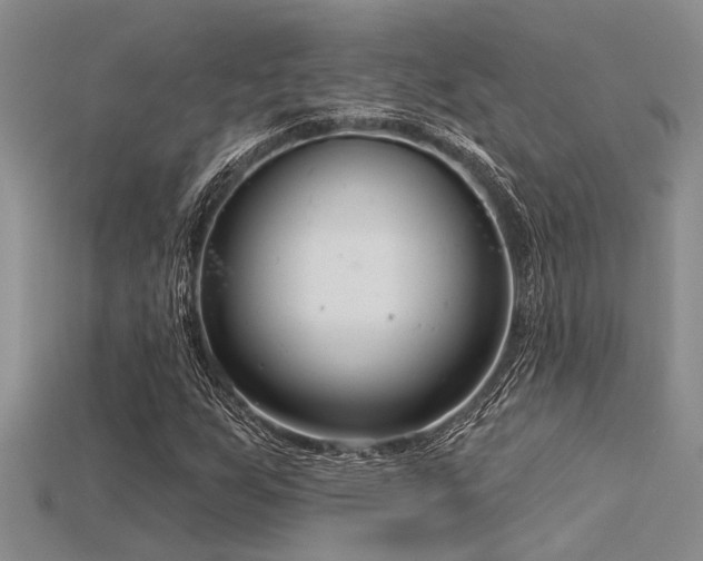 X0000115831255200911131458