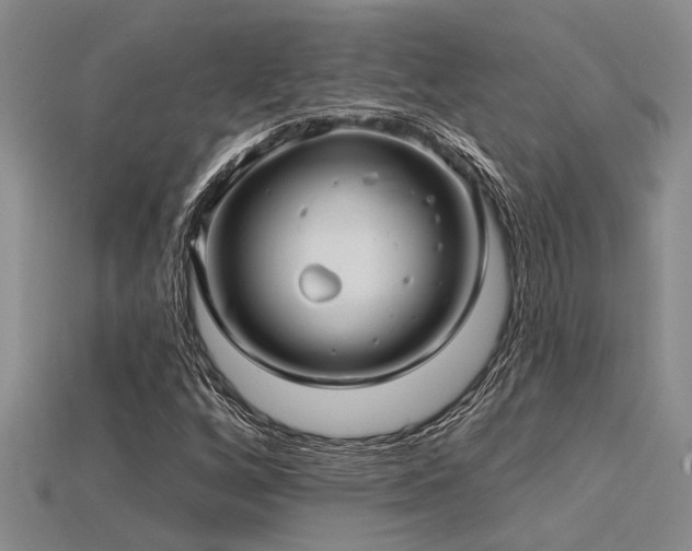 X0000115831256200911131458