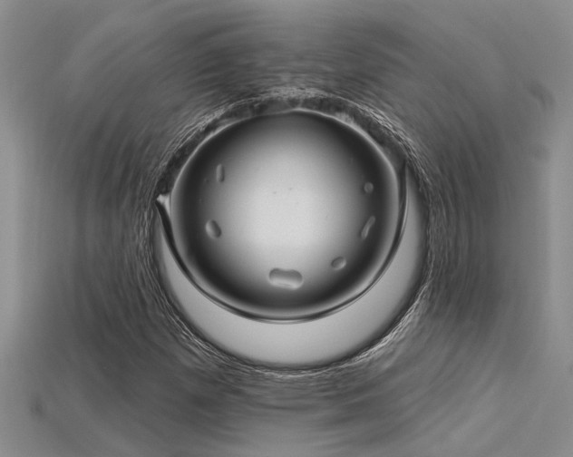 X0000115831257200911131458