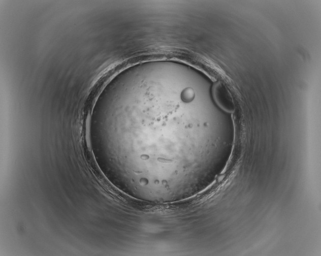 X0000115831259200911131458