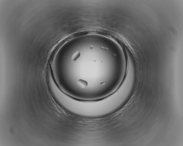 X0000115831260200911131458