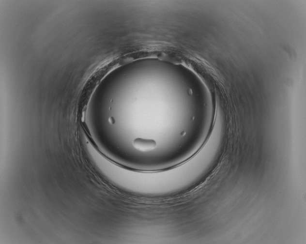 X0000115831261200911131458