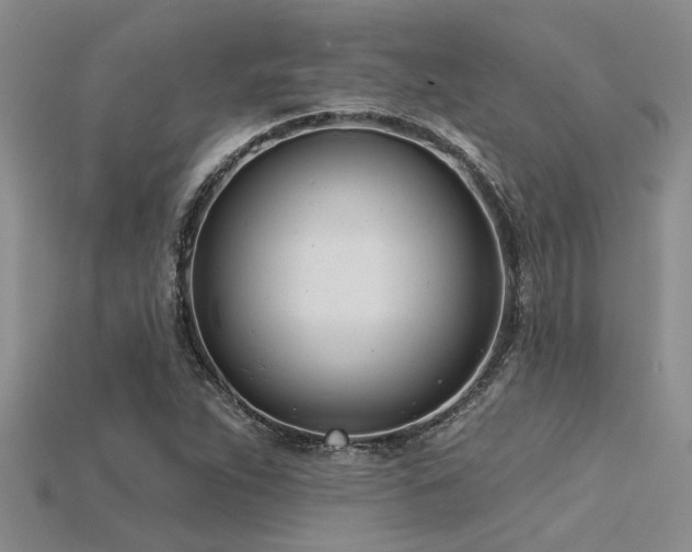 X0000115831263200911131458