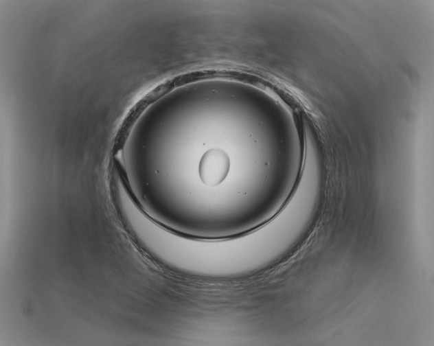 X0000115831264200911131458