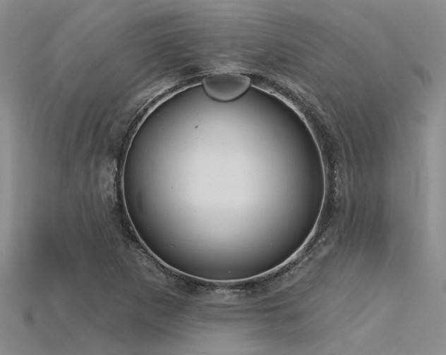 X0000115831265200911131458