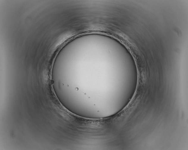 X0000115831266200911131458