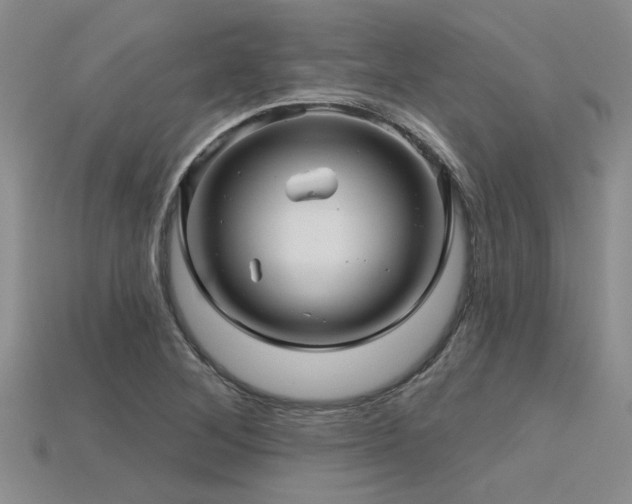 X0000115831268200911131458