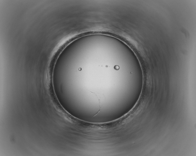 X0000115831270200911131458