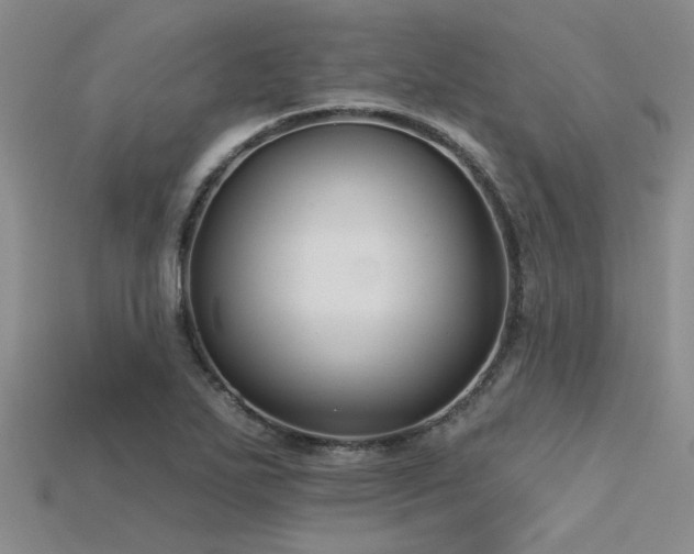 X0000115831271200911131458