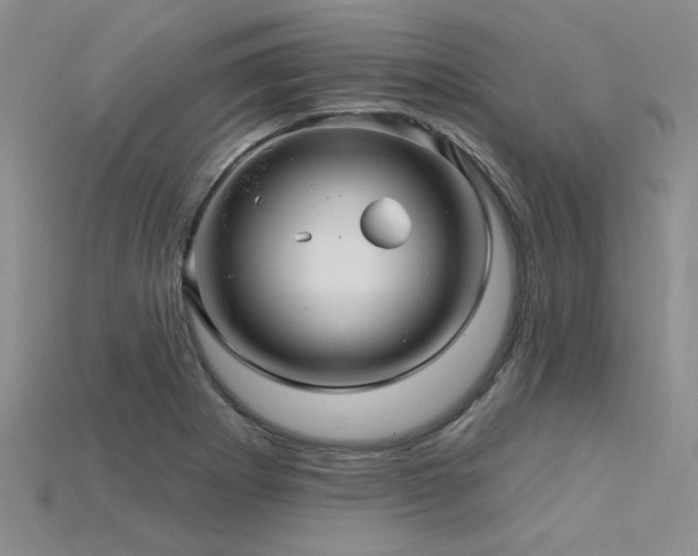 X0000115831273200911131458