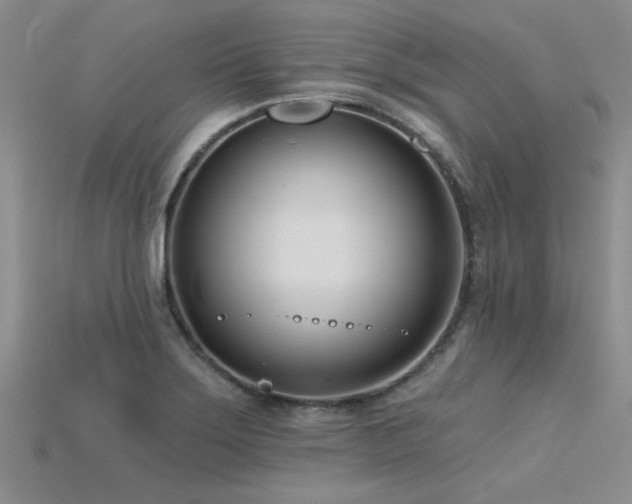 X0000115831275200911131458