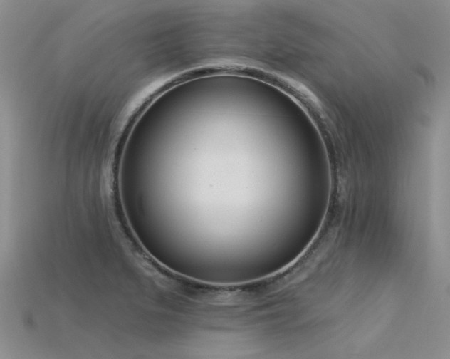 X0000115831279200911131458