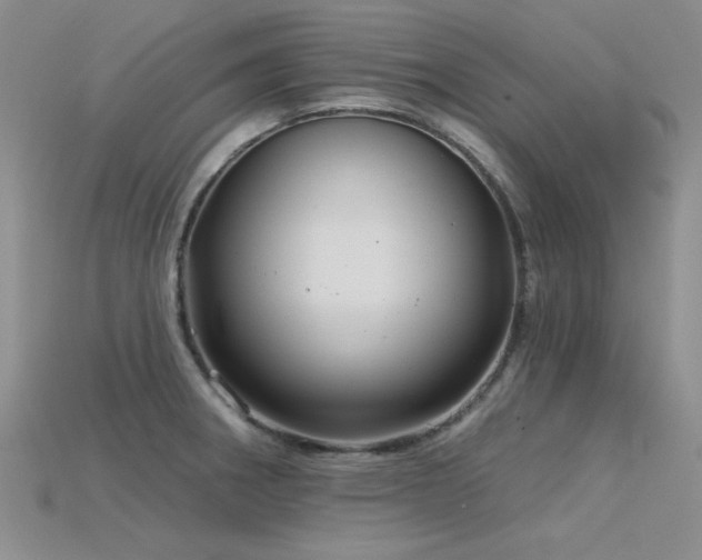 X0000115831282200911131458