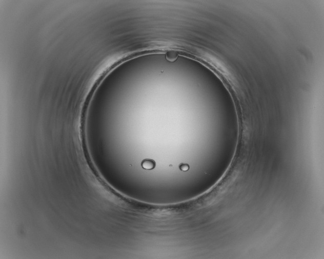 X0000115831283200911131458