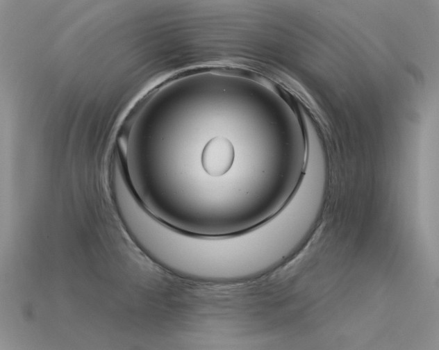 X0000115831284200911131458