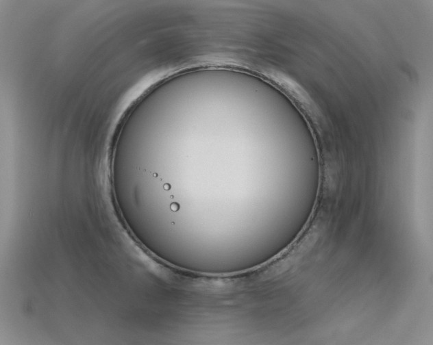 X0000115831286200911131458