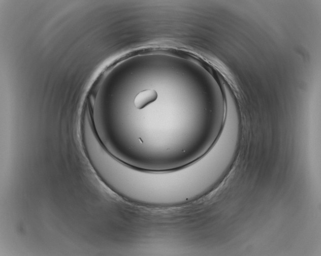 X0000115831288200911131458