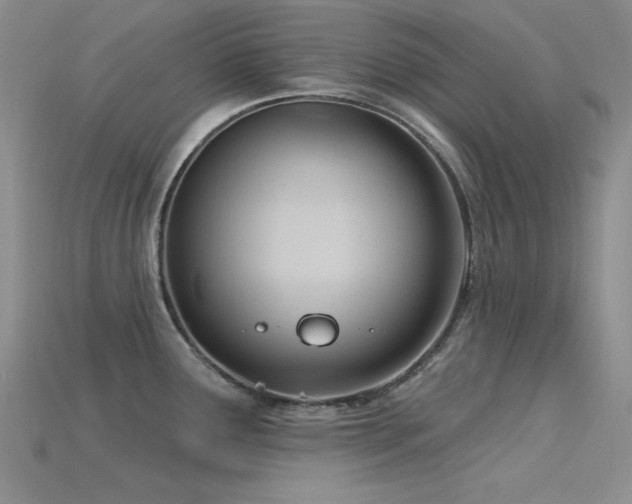 X0000115831291200911131458