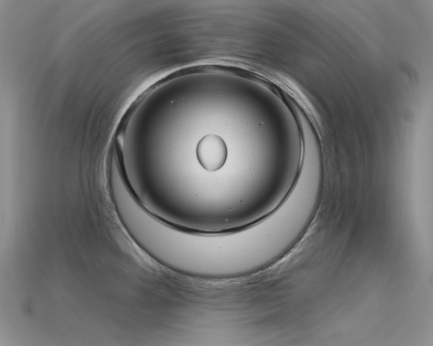 X0000115831292200911131458