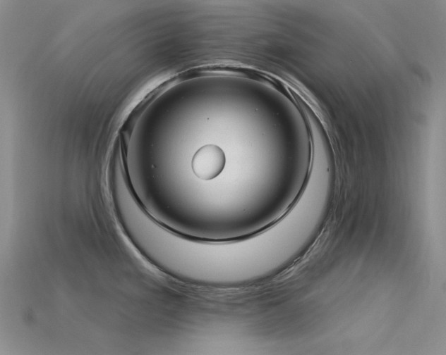 X0000115831293200911131458