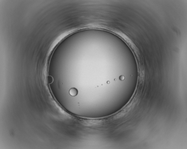 X0000115831294200911131458