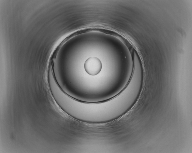 X0000115831296200911131458