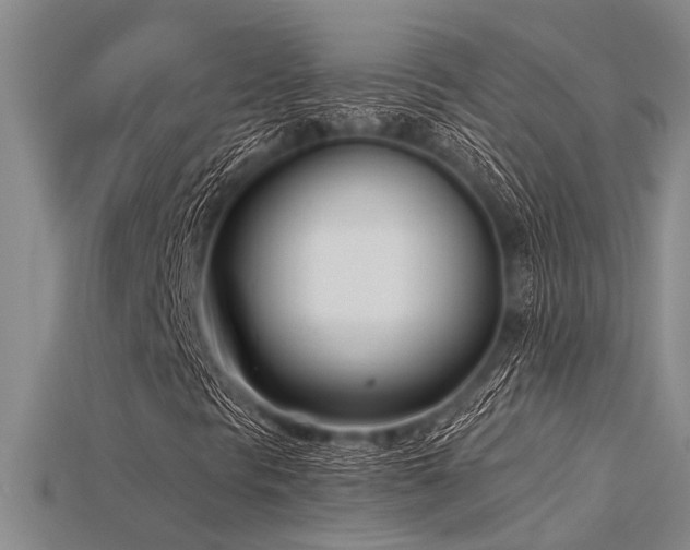 X0000115831297200911131457