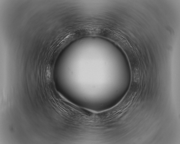 X0000115831298200911131457