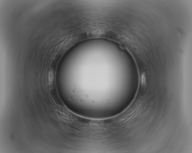 X0000115831299200911131457