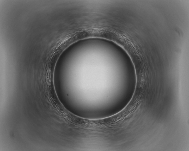 X0000115831301200911131457