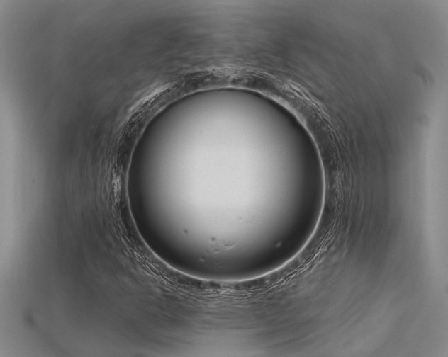 X0000115831302200911131457