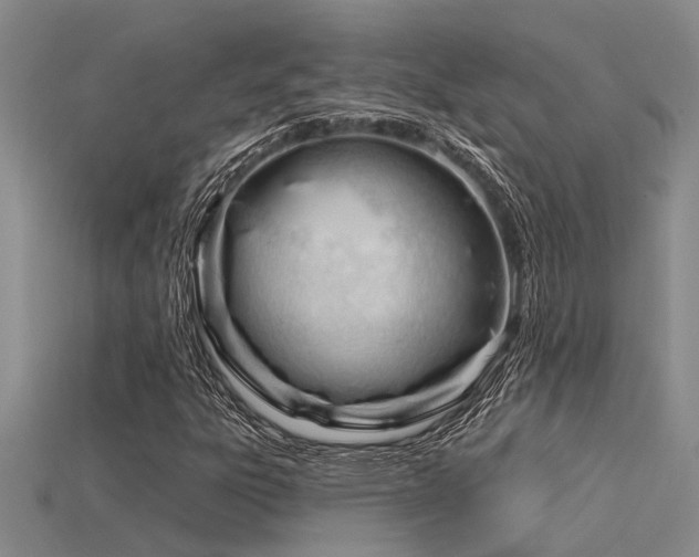 X0000115831303200911131457