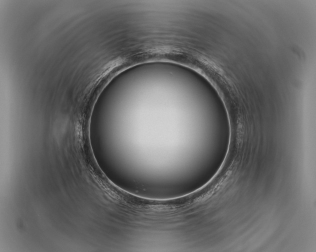 X0000115831305200911131457